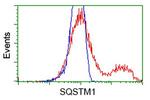 SQSTM1 Antibody in Flow Cytometry (Flow)