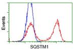SQSTM1 Antibody in Flow Cytometry (Flow)