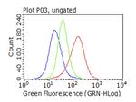 SQSTM1 Antibody in Flow Cytometry (Flow)