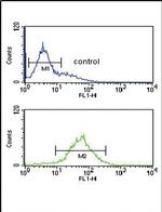 SRD5A3 Antibody in Flow Cytometry (Flow)