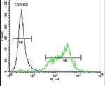 SRPK1 Antibody in Flow Cytometry (Flow)