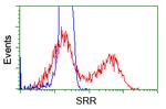 SRR Antibody in Flow Cytometry (Flow)