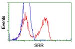 SRR Antibody in Flow Cytometry (Flow)