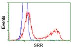 SRR Antibody in Flow Cytometry (Flow)