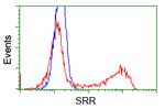 SRR Antibody in Flow Cytometry (Flow)
