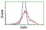 SSR1 Antibody in Flow Cytometry (Flow)