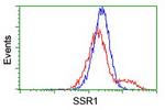 SSR1 Antibody in Flow Cytometry (Flow)