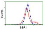 SSR1 Antibody in Flow Cytometry (Flow)