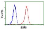 SSR1 Antibody in Flow Cytometry (Flow)