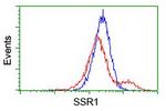 SSR1 Antibody in Flow Cytometry (Flow)