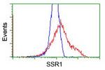 SSR1 Antibody in Flow Cytometry (Flow)