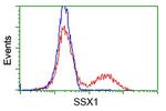 SSX1 Antibody in Flow Cytometry (Flow)