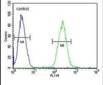 STAMBPL1 Antibody in Flow Cytometry (Flow)