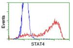 STAT4 Antibody in Flow Cytometry (Flow)