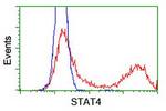 STAT4 Antibody in Flow Cytometry (Flow)