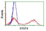 STAT4 Antibody in Flow Cytometry (Flow)