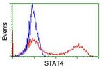 STAT4 Antibody in Flow Cytometry (Flow)