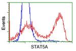 STAT5A Antibody in Flow Cytometry (Flow)