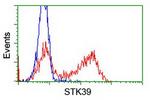 STK39 Antibody in Flow Cytometry (Flow)