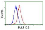 SULT1C2 Antibody in Flow Cytometry (Flow)