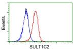 SULT1C2 Antibody in Flow Cytometry (Flow)