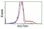 SULT2A1 Antibody in Flow Cytometry (Flow)