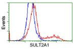 SULT2A1 Antibody in Flow Cytometry (Flow)