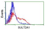 SULT2A1 Antibody in Flow Cytometry (Flow)