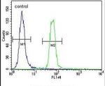 SUMO1 Antibody in Flow Cytometry (Flow)