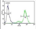 SYCE2 Antibody in Flow Cytometry (Flow)