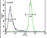 SYNC Antibody in Flow Cytometry (Flow)