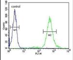 KIAA0922 Antibody in Flow Cytometry (Flow)