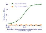 SARS-CoV-2 Spike protein RBD Chimeric Antibody in ELISA (ELISA)