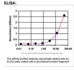 FALDH Antibody in ELISA (ELISA)