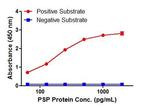 REG1 alpha Antibody in ELISA (ELISA)