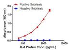 IL-6 Antibody in ELISA (ELISA)