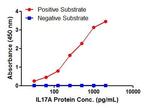 IL-17A Antibody in ELISA (ELISA)