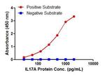 IL-17A Antibody in ELISA (ELISA)