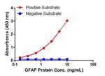 GFAP Antibody in ELISA (ELISA)