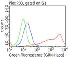 NGFR Antibody in Flow Cytometry (Flow)