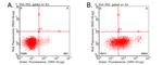 PD L1 (CD274) Antibody in Flow Cytometry (Flow)