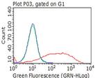NGFR Antibody in Flow Cytometry (Flow)