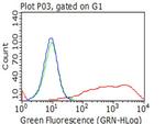 NGFR Antibody in Flow Cytometry (Flow)