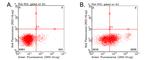 PD L1 (CD274) Antibody in Flow Cytometry (Flow)