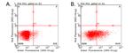 CD137 (TNFRSF9) Antibody in Flow Cytometry (Flow)