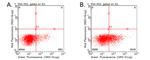 CD137 (TNFRSF9) Antibody in Flow Cytometry (Flow)