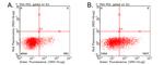 CD137 (TNFRSF9) Antibody in Flow Cytometry (Flow)
