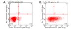 CD137 (TNFRSF9) Antibody in Flow Cytometry (Flow)