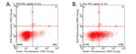 CD137 (TNFRSF9) Antibody in Flow Cytometry (Flow)