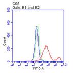 CD38 Antibody in Flow Cytometry (Flow)